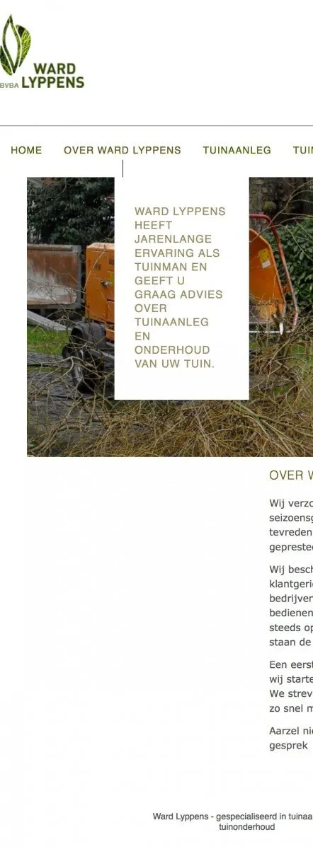 Non-responsive website